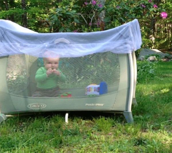 baby in playpen with bug net covering it