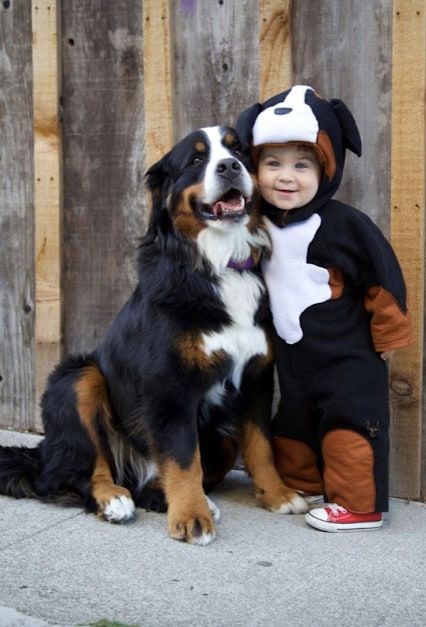 baby dressed as dog with his dog