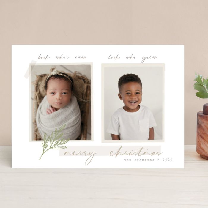 14 of the Nicest Birth Announcement Holiday Cards. Siblings.