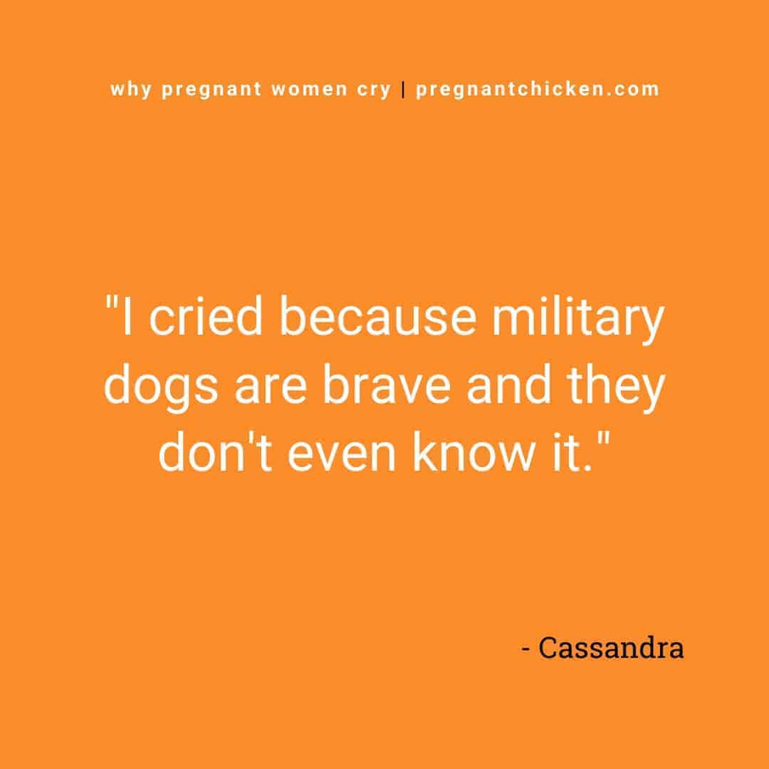 Reasons pregnant women cry series, text reads "I cried because military dogs are brave and they don't even know it."