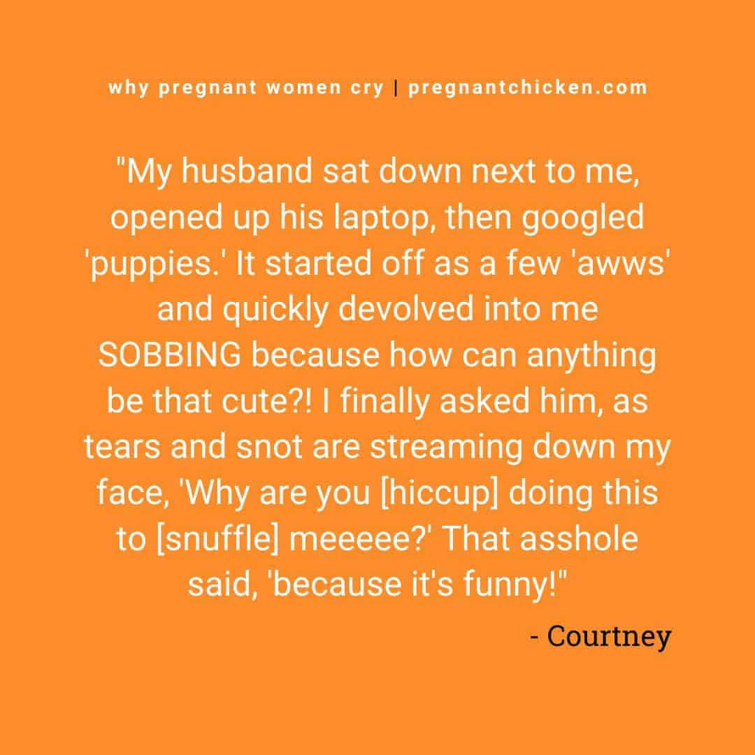 Reasons pregnant women cry series, text reads "my husband sat down next to me, opened his laptop, then googled 'puppies'. It started off as a few 'awes' and quickly devolved into me SOBBING because how can anything be that cute?! I finally asked him, as tears and snot are streaming down my face, 'Why are you [hiccup] doing this to [sniffle] meeeee?' That asshole said, 'because it's funny!"