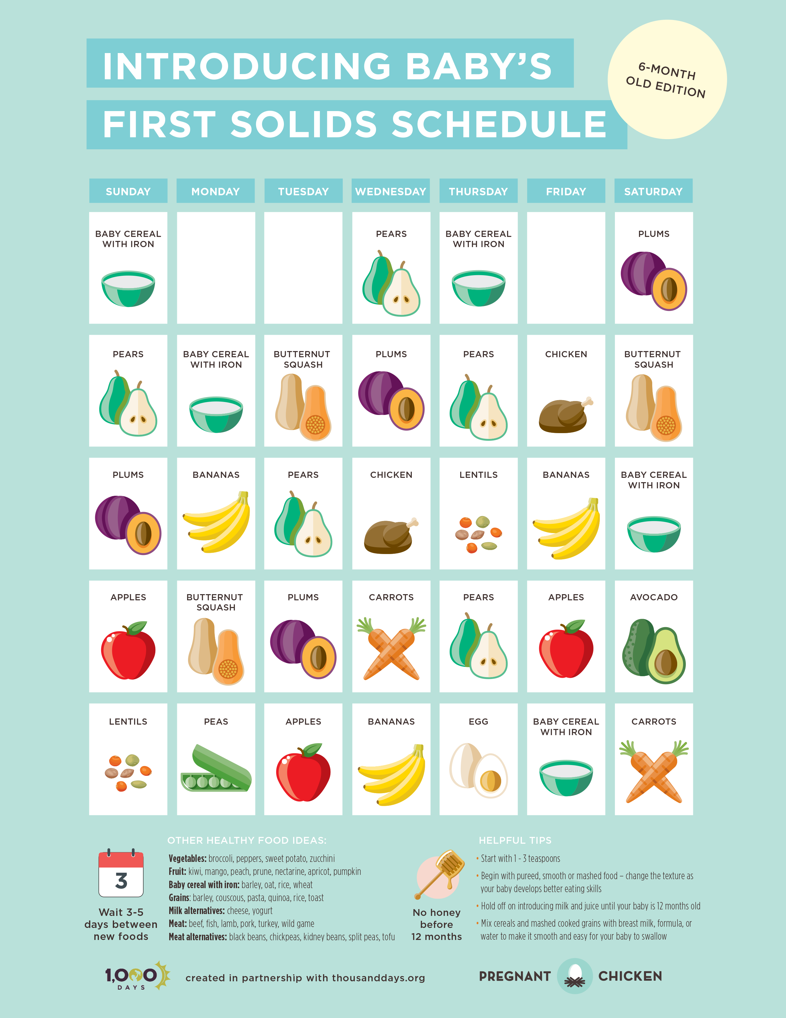 introducing baby's first solids schedule