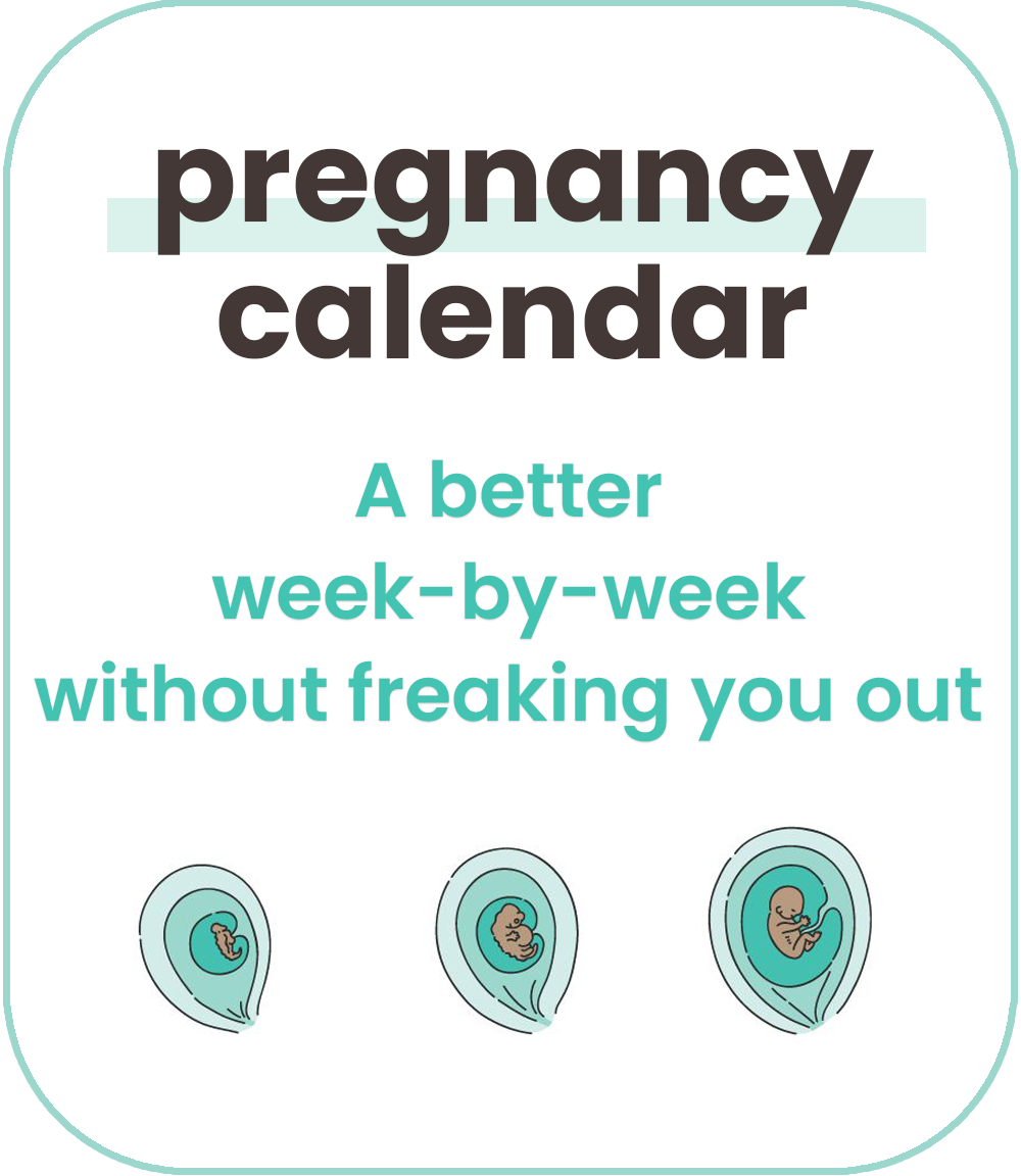 Pregnancy Calendar